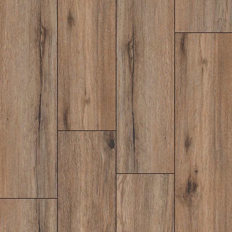 MSI-Prescott Fauna 6.5MM 20MIL 7" X 48" Click Lock Waterproof Luxury Vinyl Plank Flooring (19.02sqft/Box)