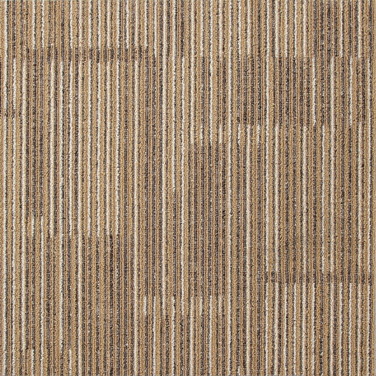 Modentro Fawn 20x20 Multi-Level Loop Commercial Carpet Tile  (53.80sq ft/box)