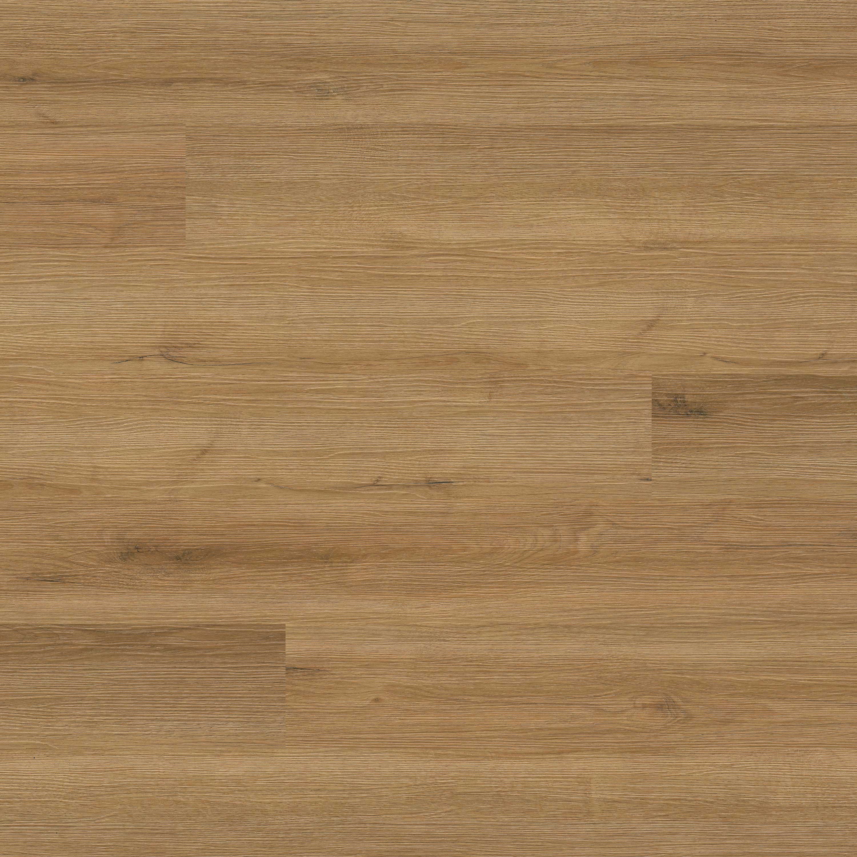 MSI-Prescott Amber Forrester 6.5MM 20MIL Luxury Vinyl Plank | Z4