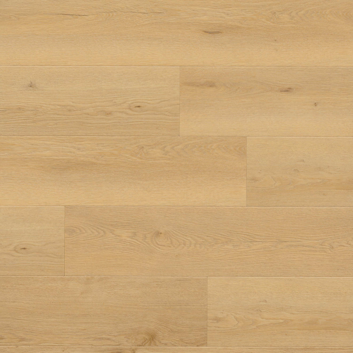 MSI Wayne Parc Bluffview 9 in. x 60 in. 10mm Rigid Core Luxury Vinyl Plank Flooring, Click Lock, Waterproof, 22 MIL Wear Layer