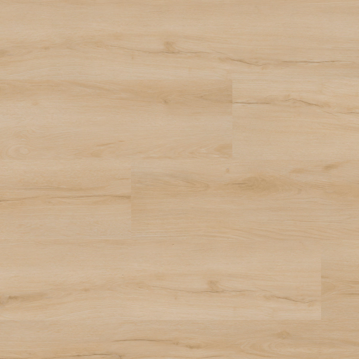 MSI Nove Plus Fallonton 9 in. x 48 in. 2mm Glue Down Luxury Vinyl Plank Flooring, Waterproof, 12 MIL Wear Layer