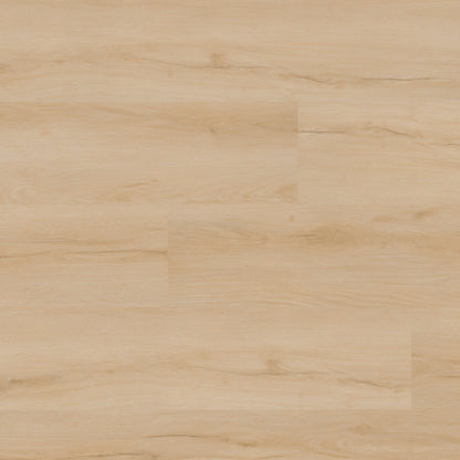 MSI Nove Fallonton 9 in. x 48 in. 2mm Glue Down Luxury Vinyl Plank Flooring, Waterproof, 6 MIL Wear Layer