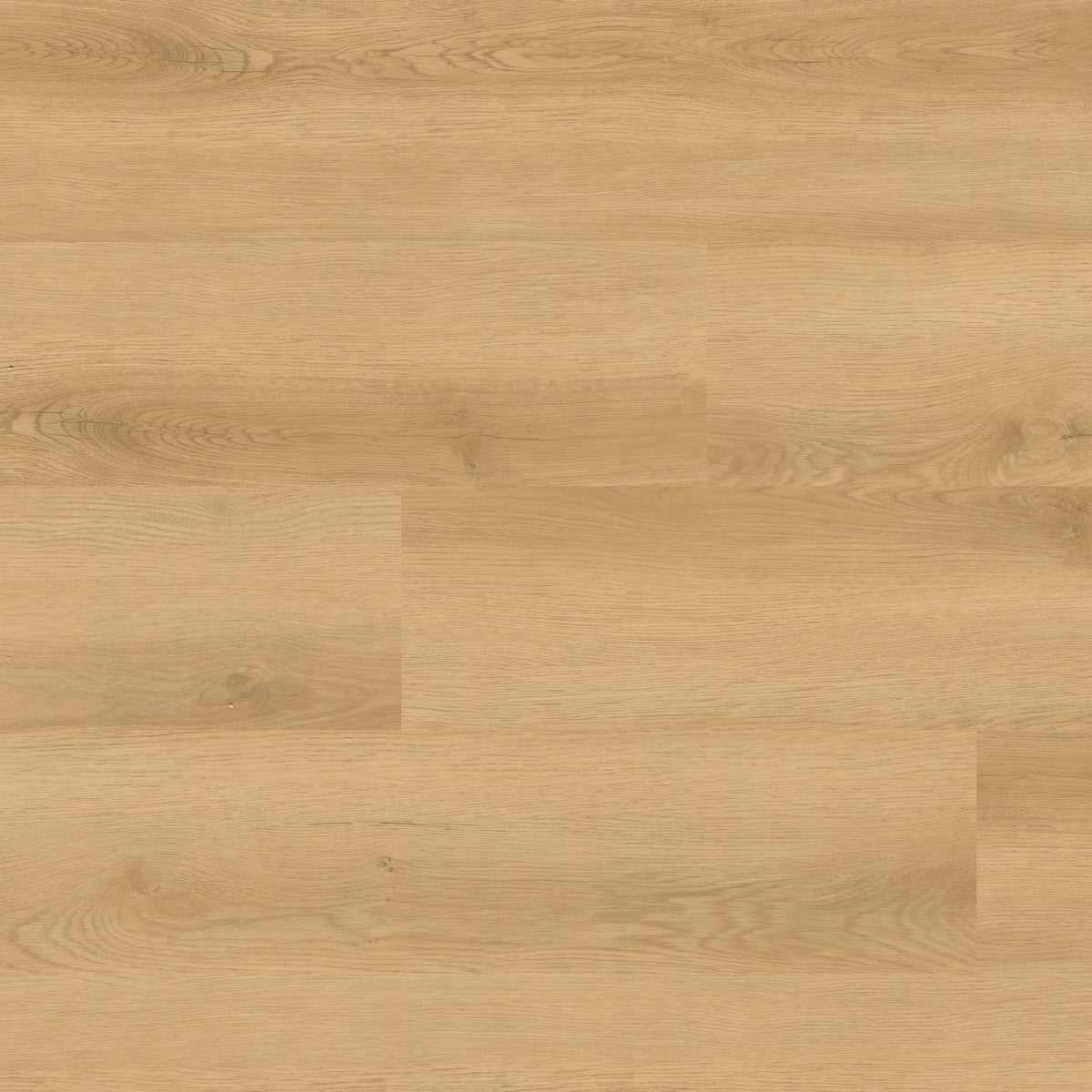 MSI Nove Hyde Haven 9 in. x 48 in. 2mm Glue Down Luxury Vinyl Plank Flooring, Waterproof, 6 MIL Wear Layer