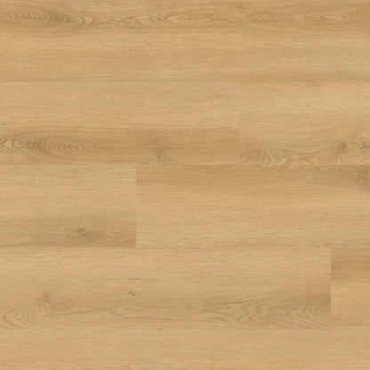MSI Nove Hyde Haven 9 in. x 48 in. 2mm Glue Down Luxury Vinyl Plank Flooring, Waterproof, 6 MIL Wear Layer