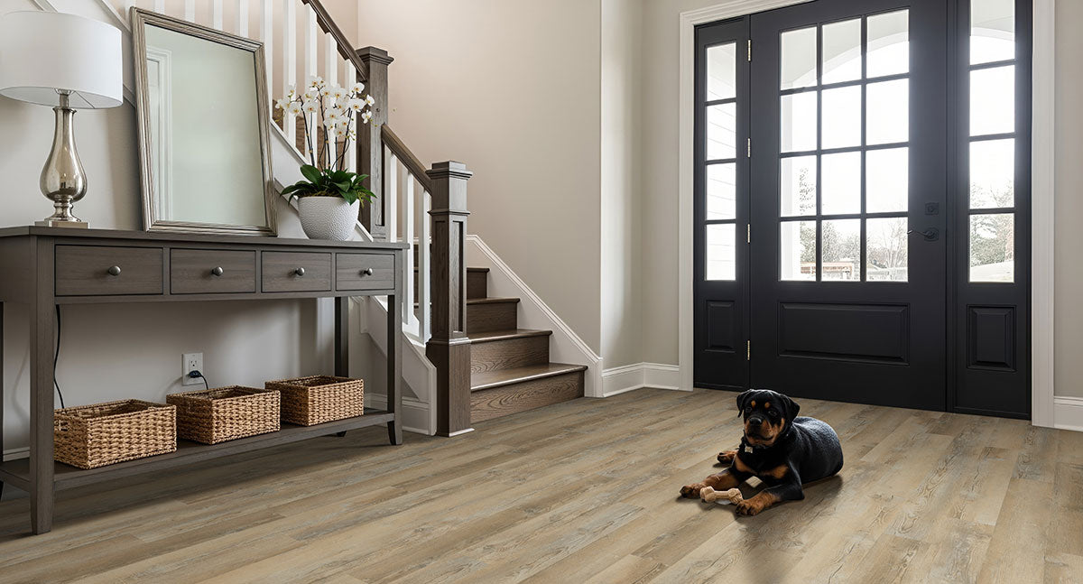 MSI Katavia Lime Washed Oak 6 in. x 48 in. 2mm Glue Down Luxury Vinyl Plank Flooring, 6 MIL Wear Layer