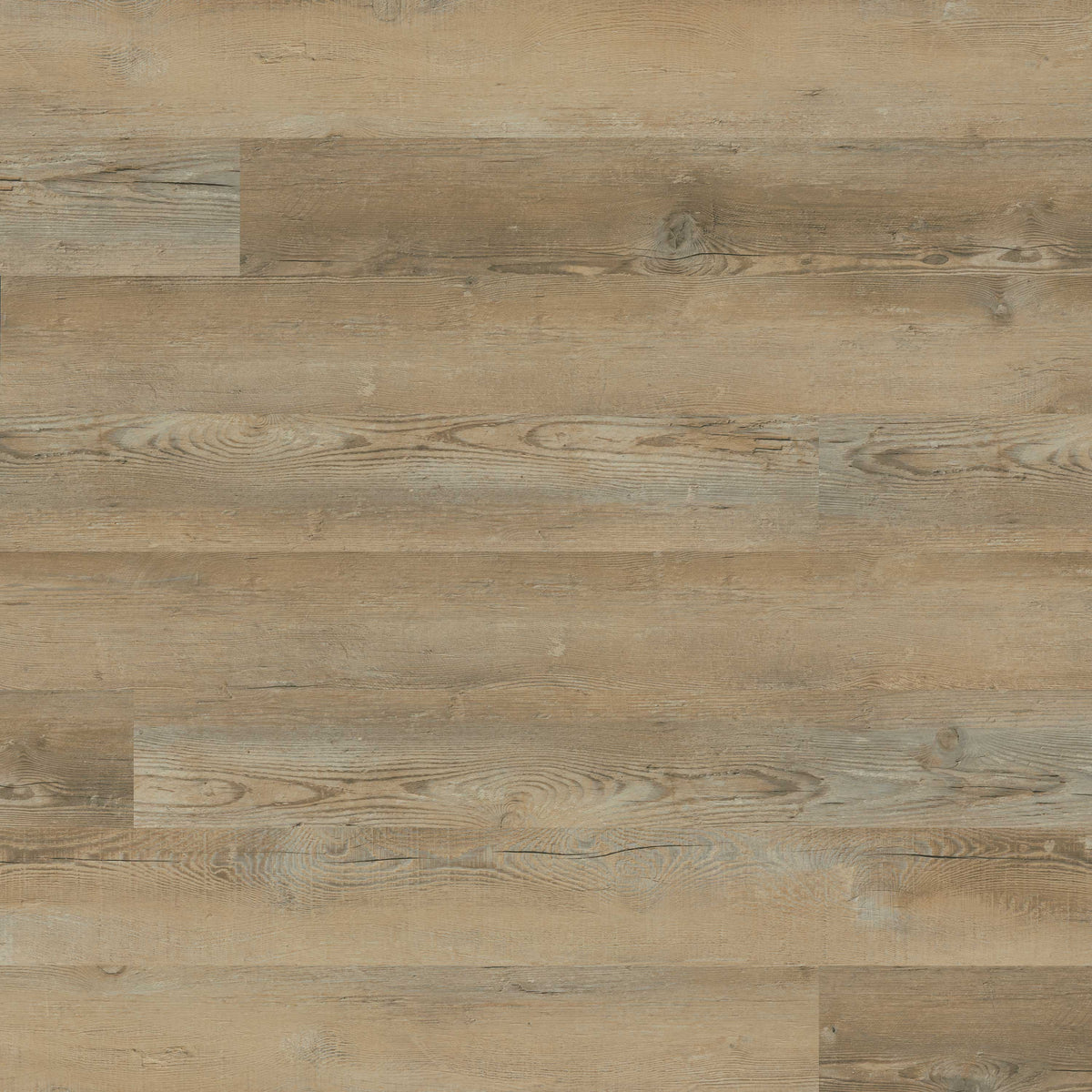 MSI Katavia Lime Washed Oak 6 in. x 48 in. 2mm Glue Down Luxury Vinyl Plank Flooring, 6 MIL Wear Layer