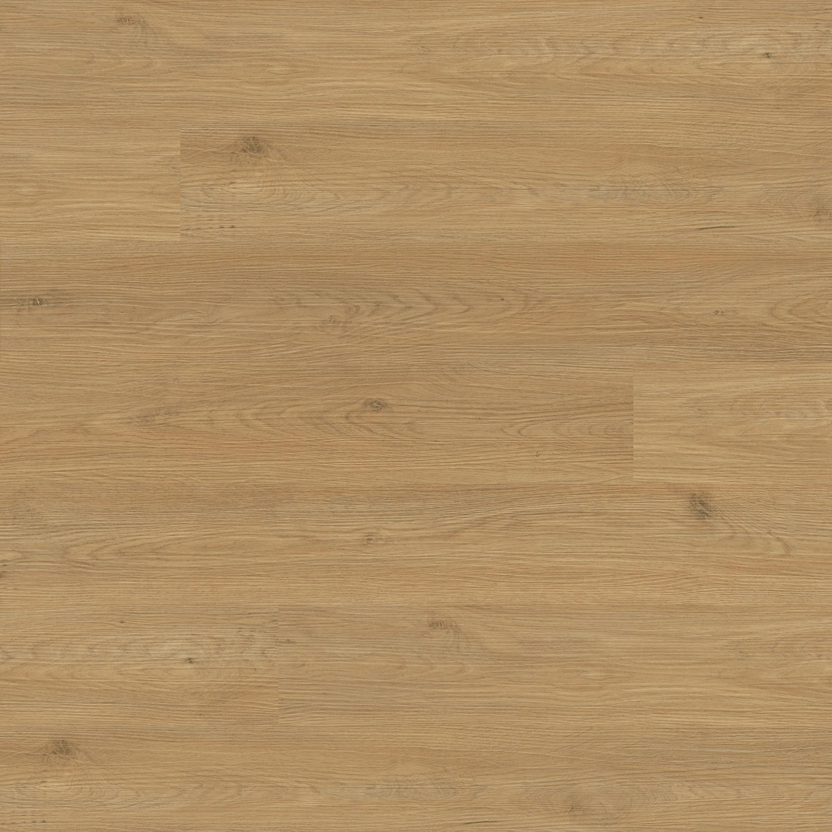 MSI Ashton 2.0 Sandreach 7 in. x 48 in. 4.4mm Rigid Core Luxury Vinyl Plank Flooring, Click Lock, Waterproof, 12 MIL Wear Layer