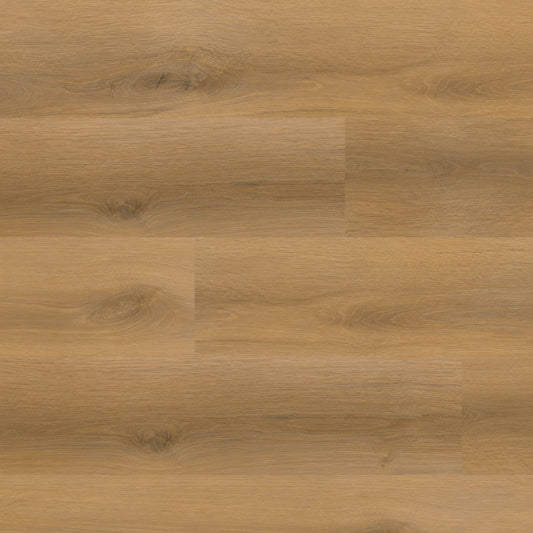MSI Nove Plus Scandi 9 in. x 48 in. 2mm Glue Down Luxury Vinyl Plank Flooring, Waterproof, 12 MIL Wear Layer