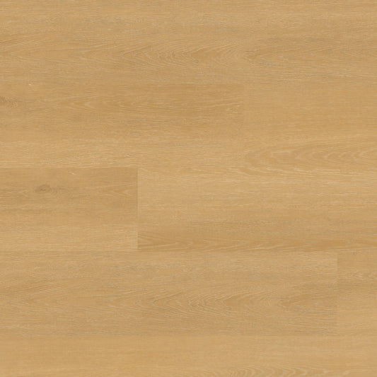 MSI Nove Plus Selbourne 9 in. x 48 in. 2mm Glue Down Luxury Vinyl Plank Flooring, Waterproof, 12 MIL Wear Layer