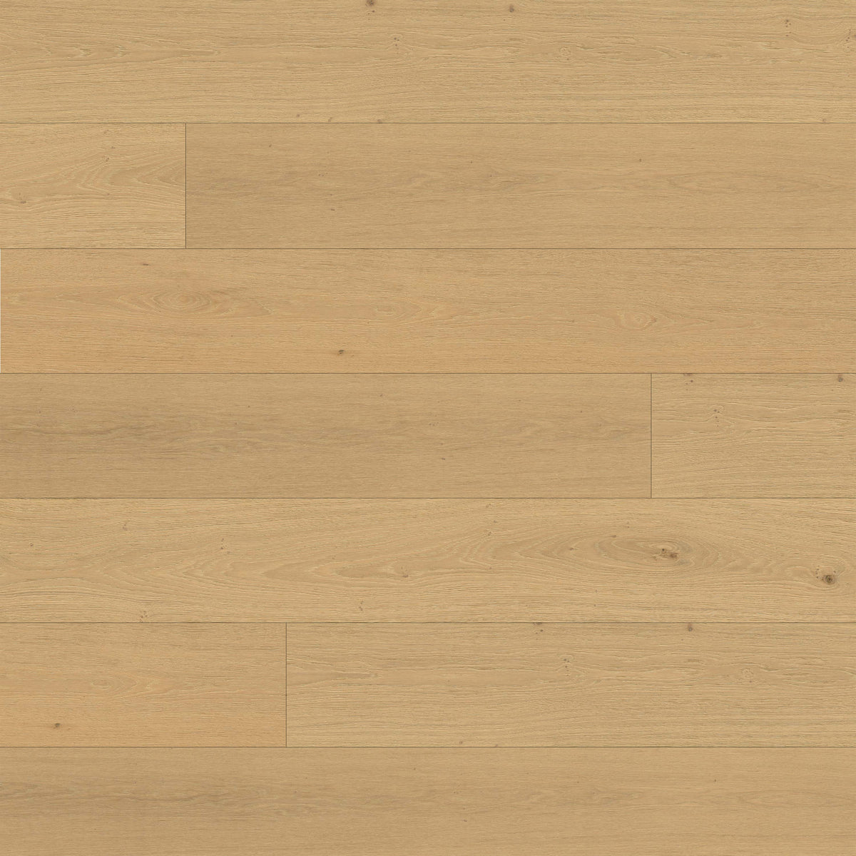 MSI McCarran Reserve Tualatin Blonde 9.5 in. x 86 in. 5/8 in. Thickness 4mm Veneer Engineered Hardwood Flooring
