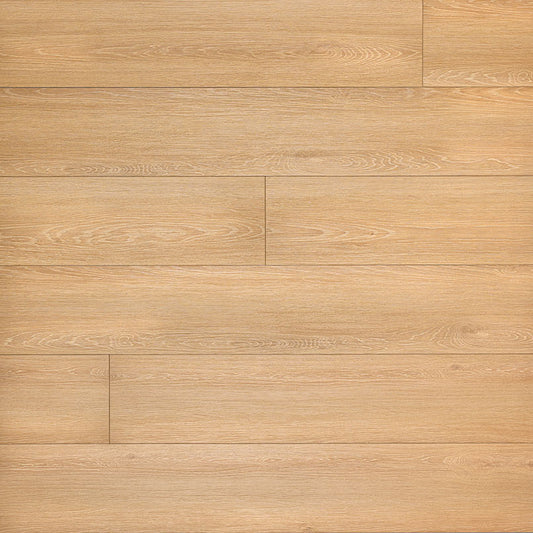 MSI XL Cyrus Valleyview Grove 9 in. x 60 in. 5mm Rigid Core Luxury Vinyl Plank Flooring, Click Lock, 12 MIL Wear Layer